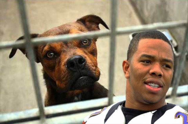 FLATLINE: NFL Joins the Violence-Free Animal Lover’s Club