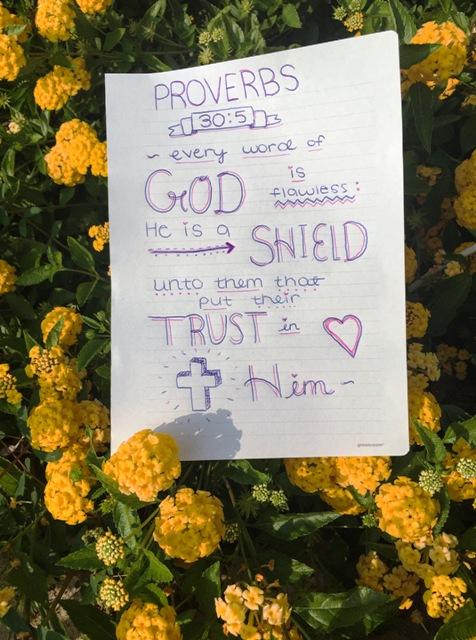 My+favorite+verse+and+my+inspiration+everyday+is+definitely+Proverbs+30%3A5%3B+the+verse+emphasizes+how+if+we+just+put+our+trust+in+Him%2C+He+watches+over+us+and+keeps+us+safe+in+His+love.+I+love+it.