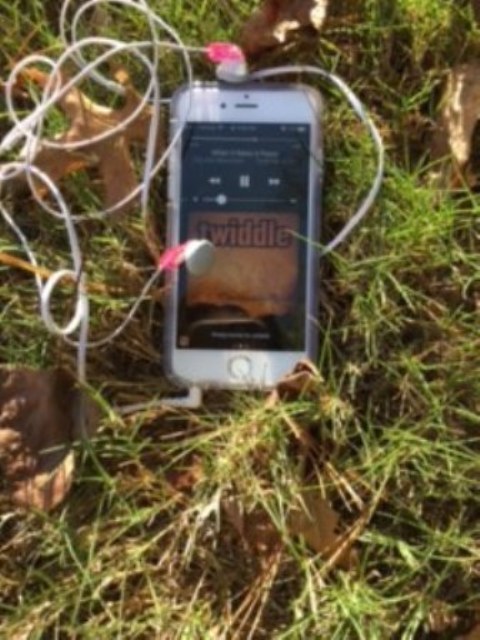 This picture captures Twiddle’s “When It Rains It Pours” being played in the relaxing fall weather. It is the perfect song to listen to at any time in the year!