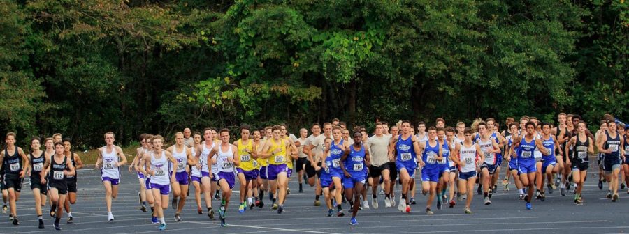 The cross country boys’ teams begin their race at Riverside Military Academy. (Photo Credits: Lisa Sines and Timber Studio Photography.)