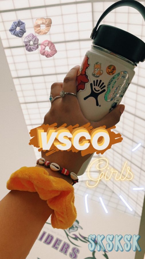 VSCO+Girls+have+taken+the+internet+by+storm+with+their+cheesy+phrases+and+unique+style.+