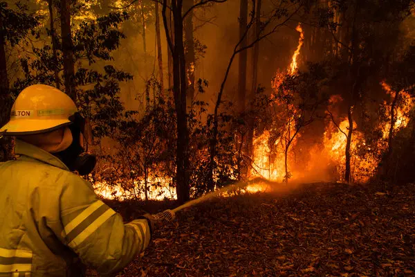 Australias+Deadly+Wildfires+have+Killed+1+Billion+Native+Wildlife+Animals