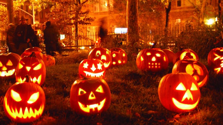 Jack-o%E2%80%99-lanterns+in+a+field+for+Halloween.+%28Photo+by+WCPO%29