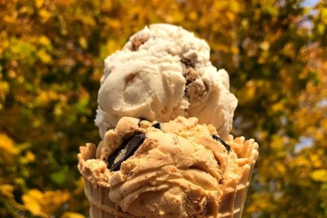 Why not eat ice cream this year as a Thanksgiving dessert? 
(Photo by: Lonely Planet)