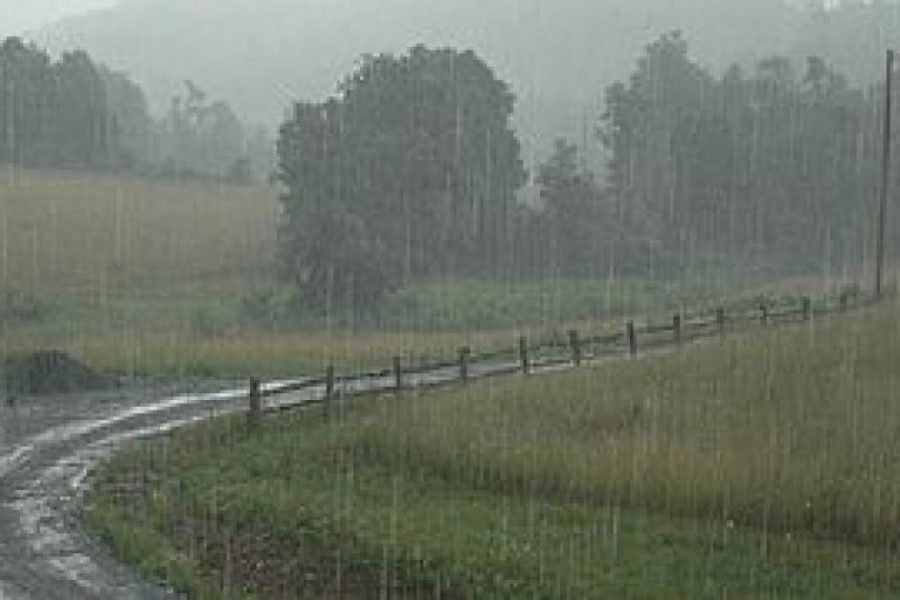 The+road+up+to+Anthony+Greysons+home+during+rainfall.%0APhoto+by+Protect+the+Harvest.