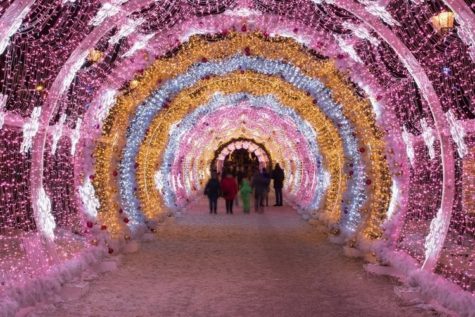 “Lakeside Lights Spectacular” light-up tunnel that you can walk inside of. Photo by Explore Gwinnett Events.
