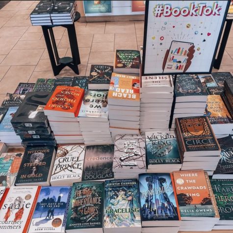 An example of the new BookTok tables being displayed in Barnes & Noble. Photo Source: Instagram