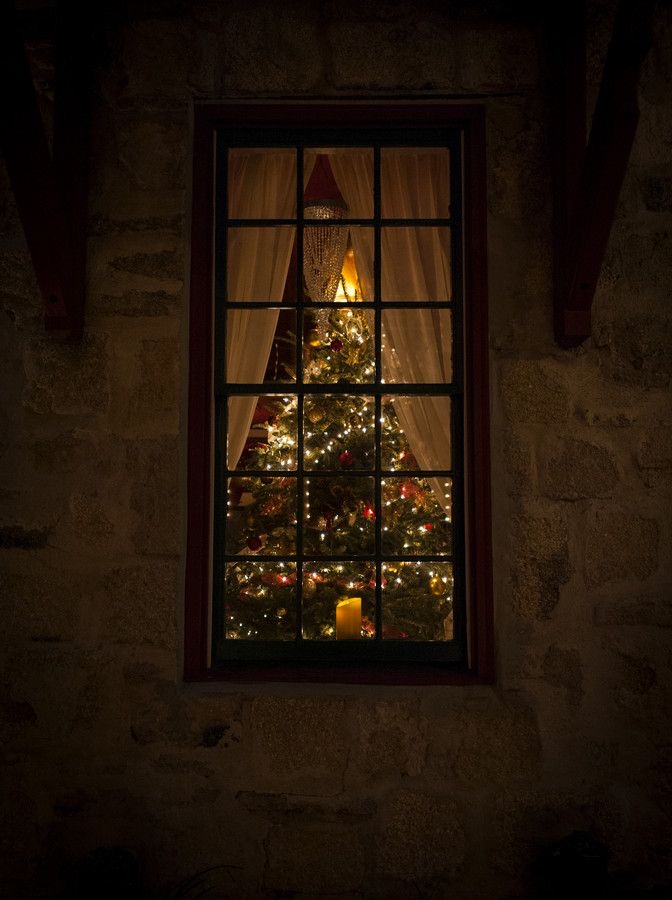 It is time for candles in the window and trees decorated in red and green. There is no better time for the holidays. Photo by radivs tumbler