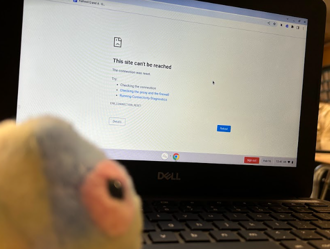 Ike the chameleon is very upset that he can’t access beautiful slide templates on the school Wi-Fi. (Photo by Emma Simmons)
