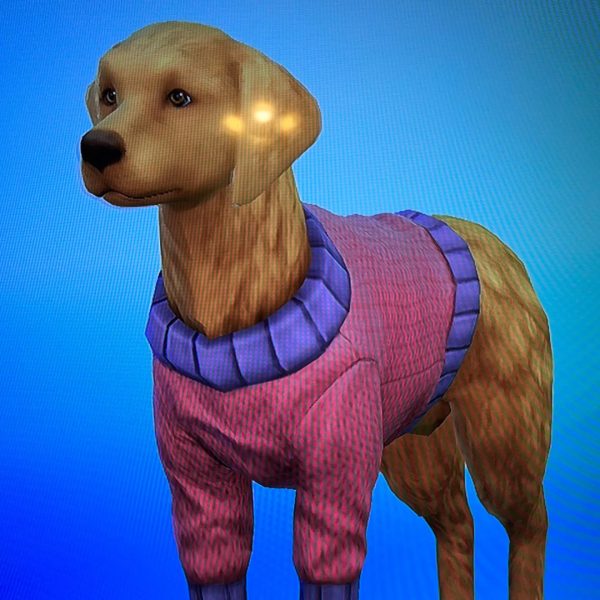 Belle, the Sim dog, in all her glory
