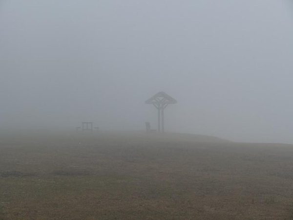 An eerie landscape distorted by dense fog.