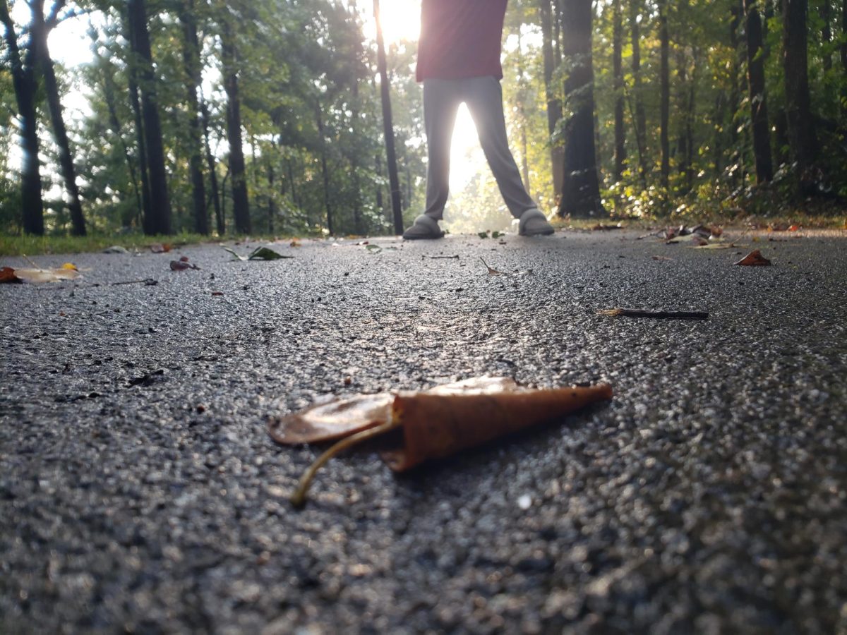 A person standing before a fallen leaf.