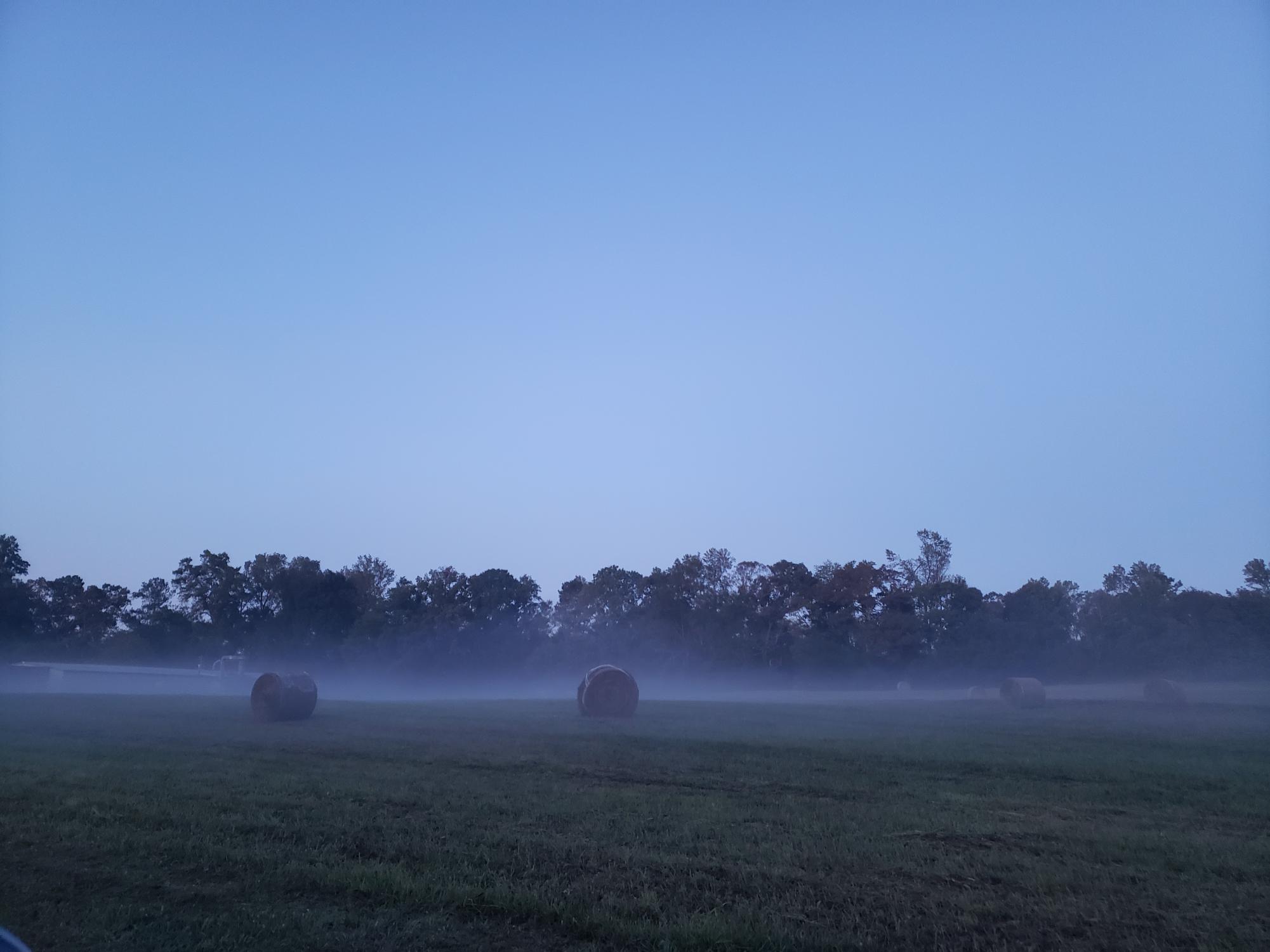 A mist-covered field. 