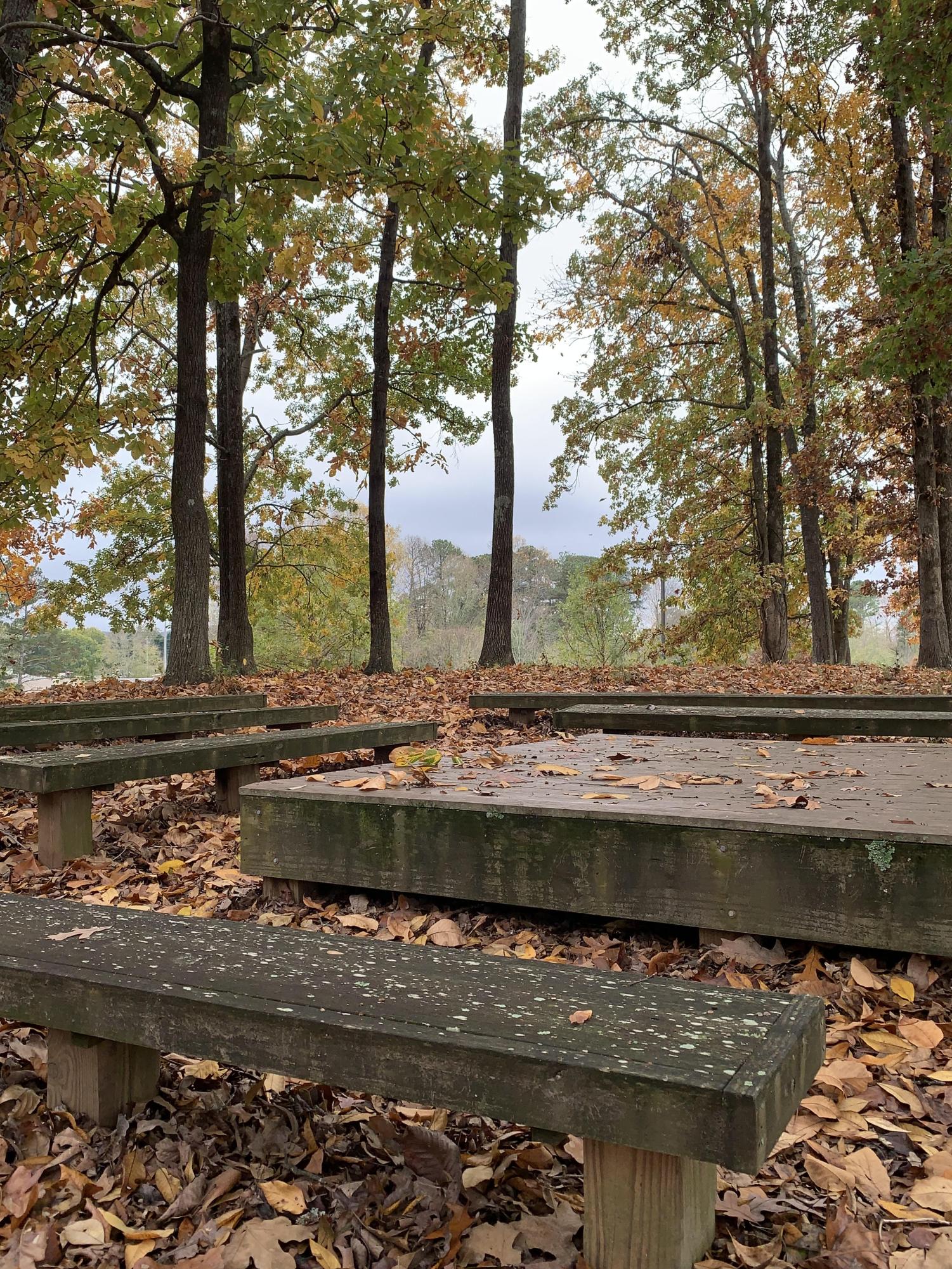 Poets gathering under the autumn trees