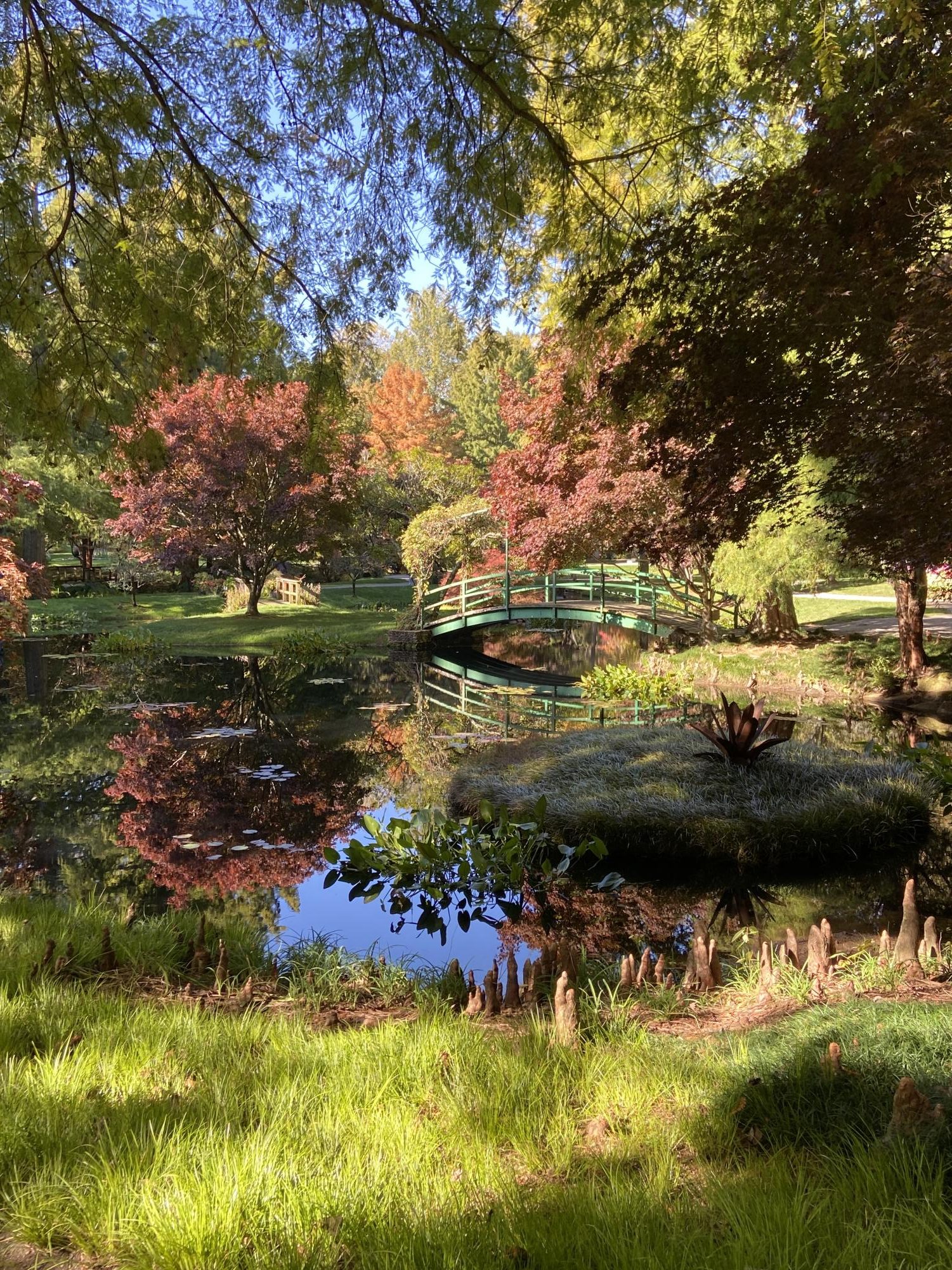 An early Winter morning