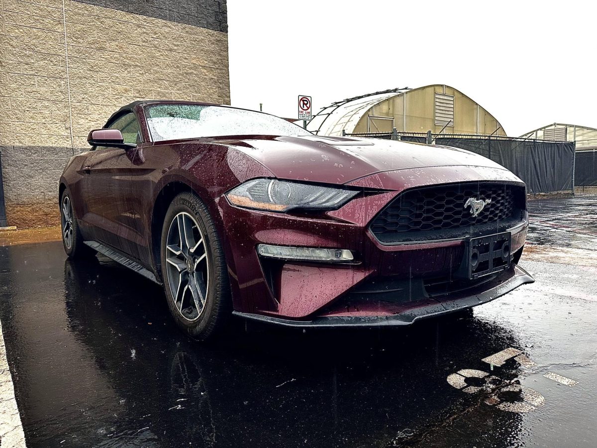 Seese’s beloved 2018 Mustang