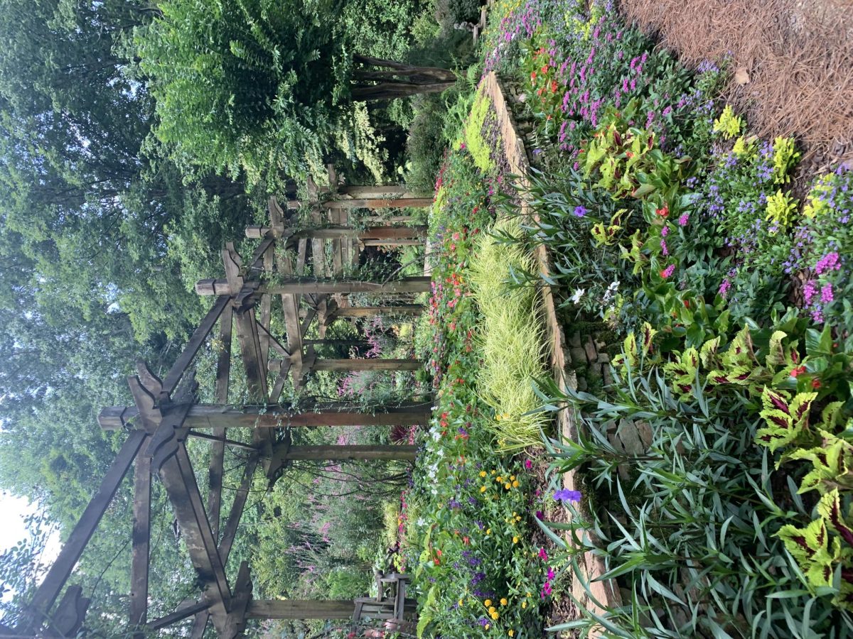 Front garden of the Manor House in Gibbs Gardens