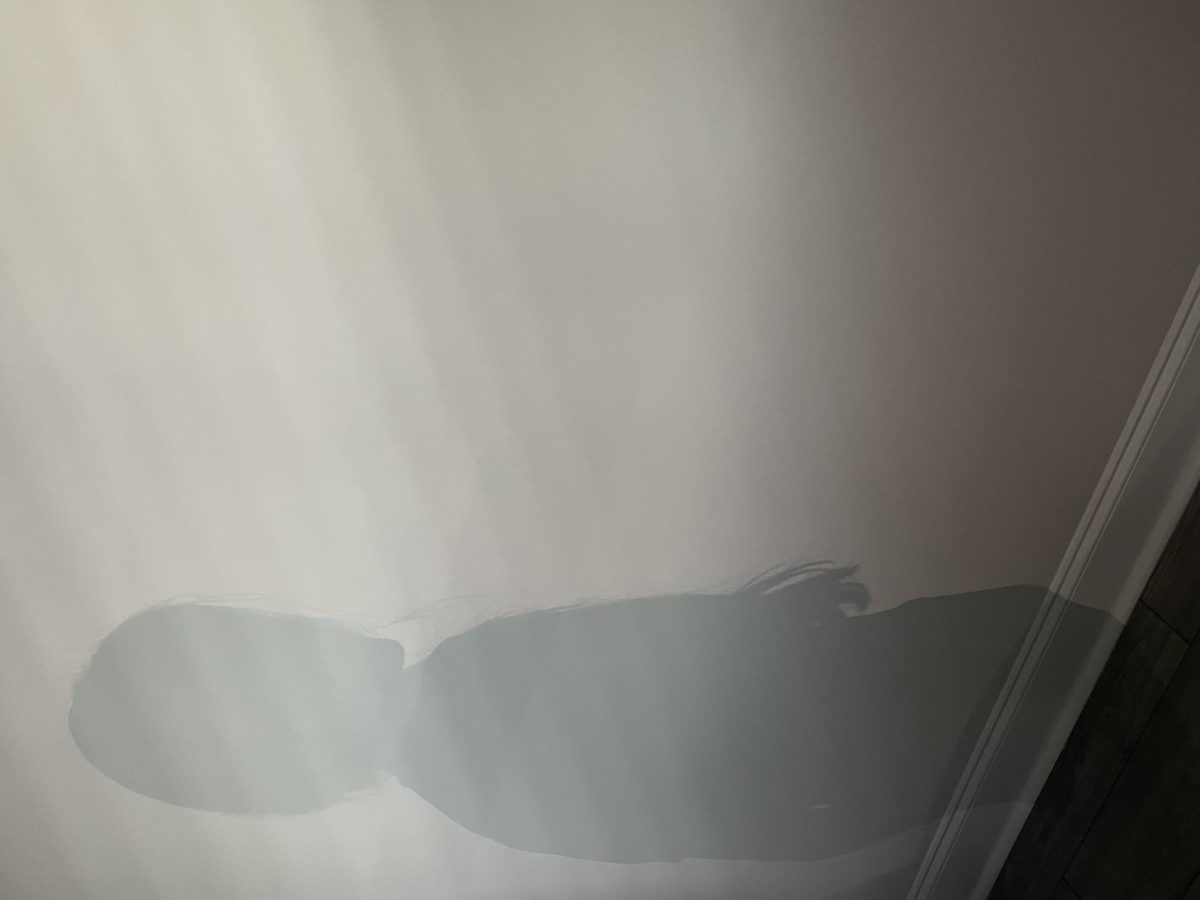 It’s not possible to be stalked by a shadow. Until it is. 
