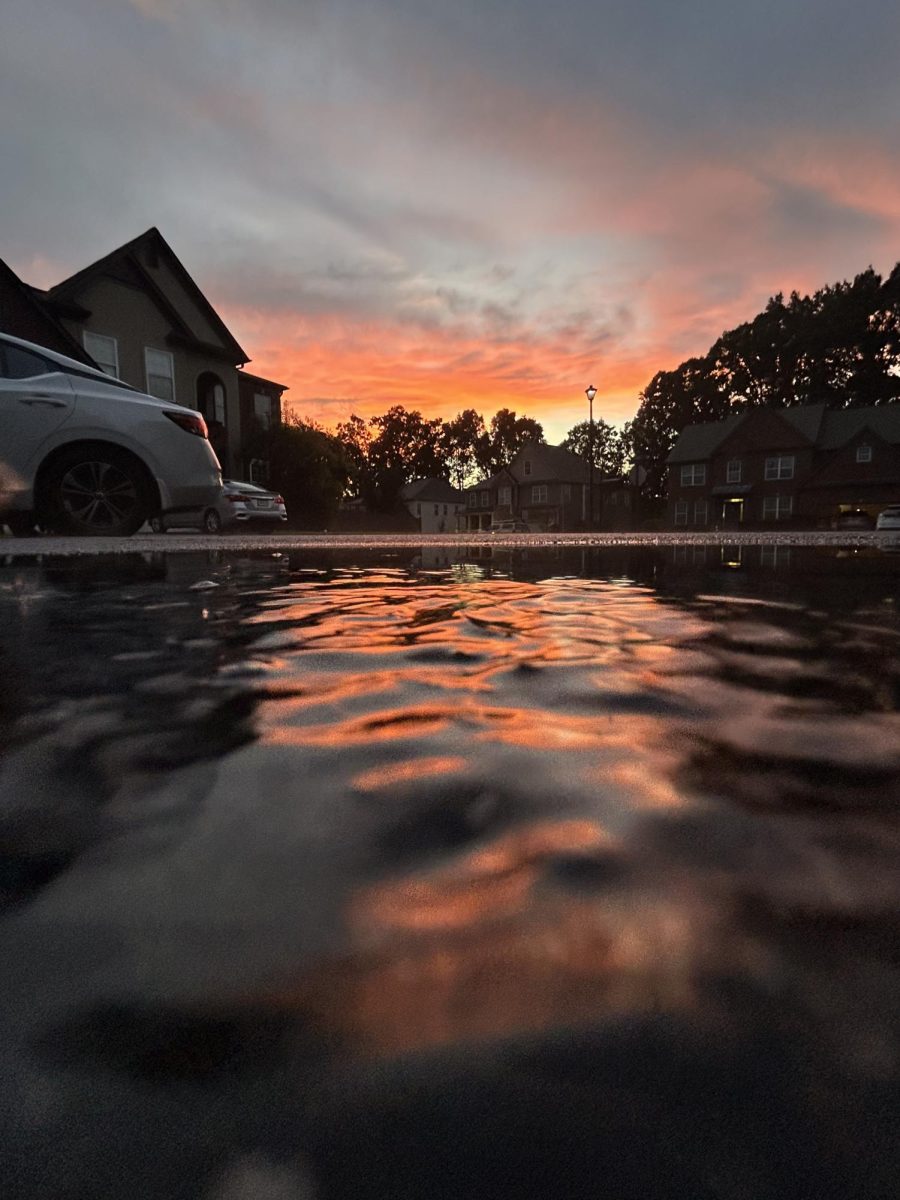 Ripples in Water