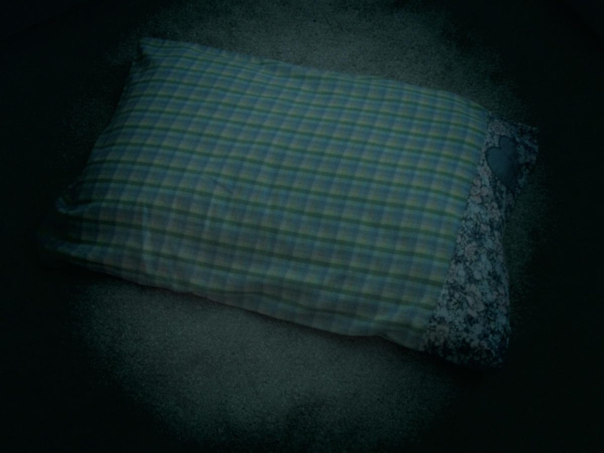 A pillow thrown against the moonlight