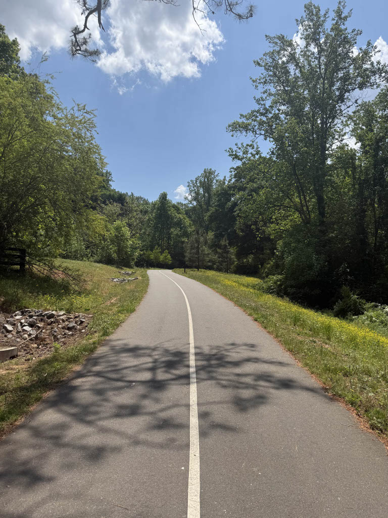 A sunny walk on a trail