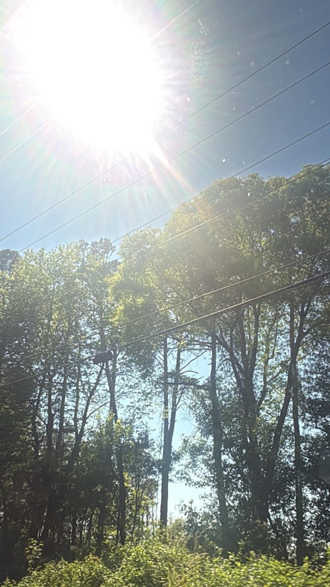 The blinding sun 
